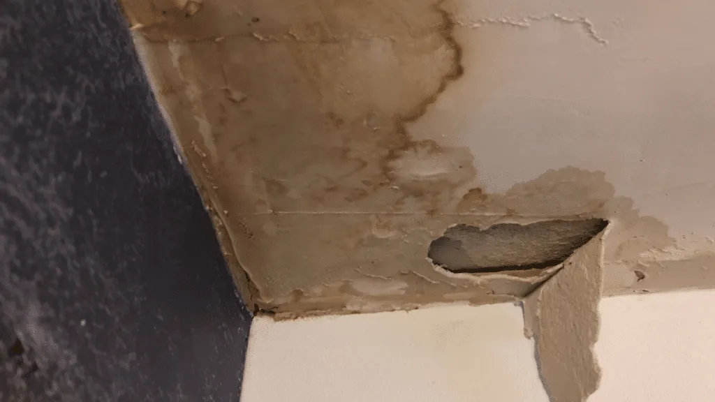 water damage